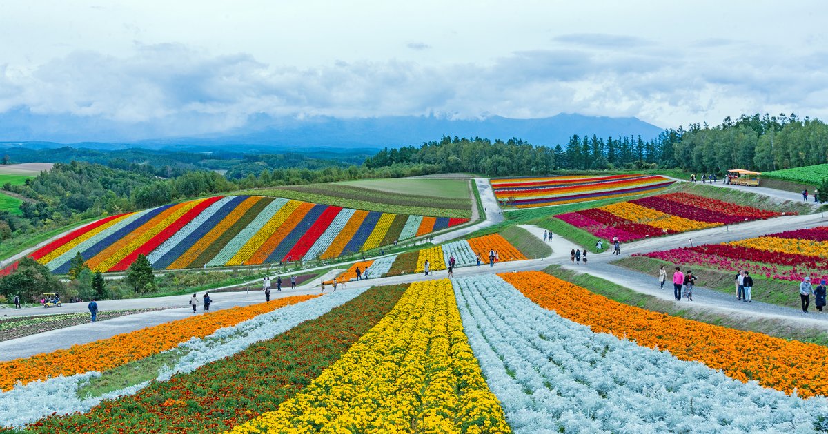 When Is the Cheapest Time to Visit Japan? - Klook Travel Blog