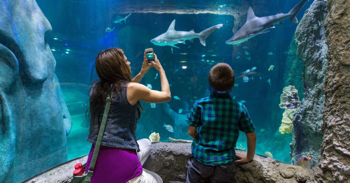 Affordable Things to Do in Orlando Under $40 That Are Actually Fun