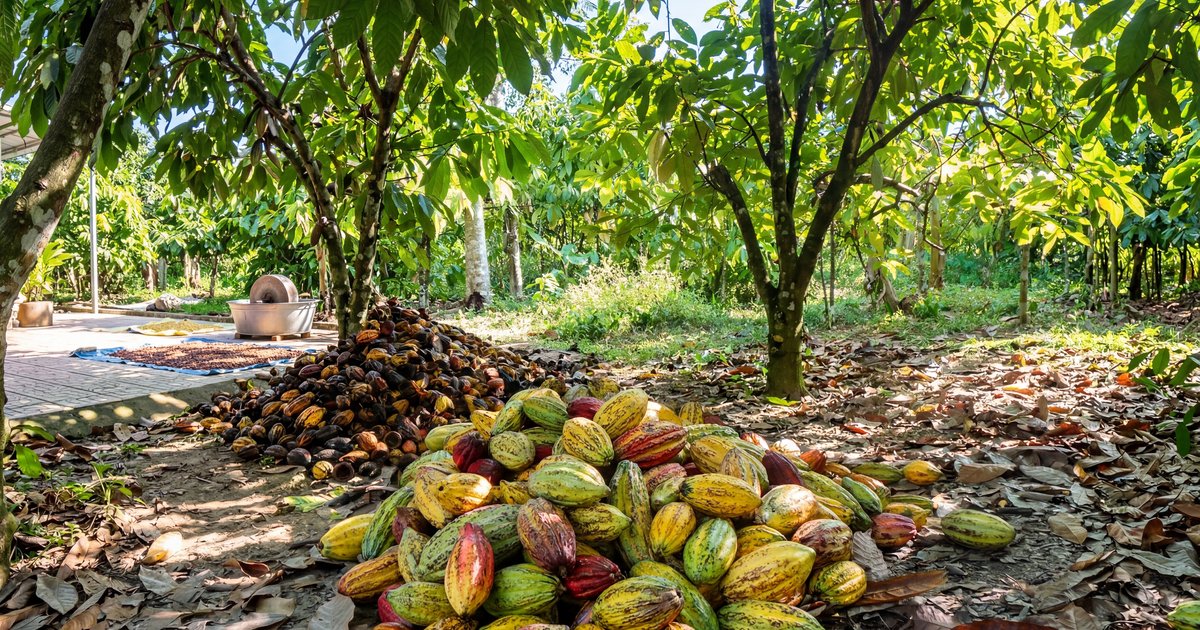 Du lịch Ẩm thực Đặc sản miền T&acirc;y bạc li&ecirc;u, cần thơ, s&oacute;c trăng, hậu giang, ki&ecirc;n giang, an giang Ph&uacute; Quốc - H&agrave; Ti&ecirc;n - An Giang - Ch&acirc;u Đốc, c&agrave; mau, tiền giang, tr&agrave; vinh, bến tre, vĩnh long, đồng th&aacute;p, long an, t&acirc;y ninh | li&ecirc;n hệ Quảng c&aacute;o 0915326788 phuc0915326788@gmail.com