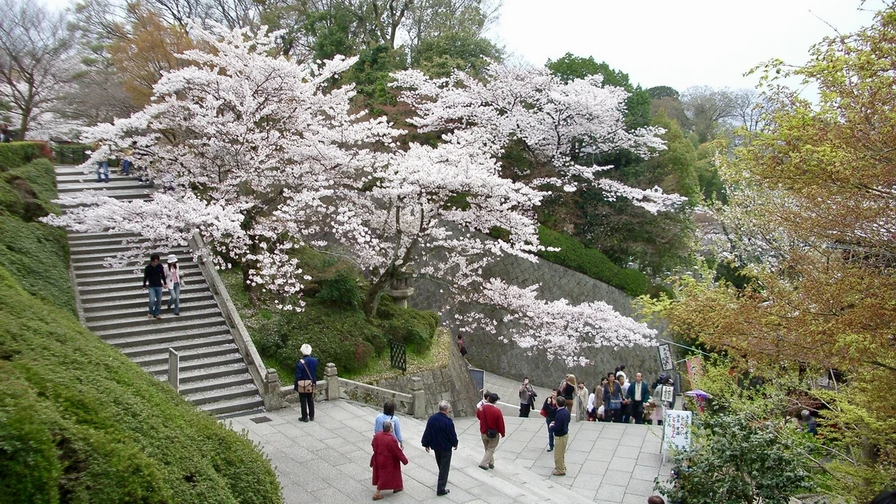 Kyoto Temple and Shrine Exploration Tour: Kiyomizudera Temple, Yasaka Shrine and More