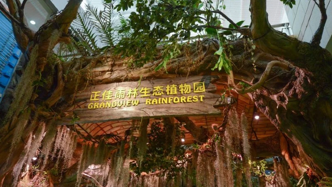 Guangzhou Zhengjia Rainforest Ecological Botanical Garden Tickets