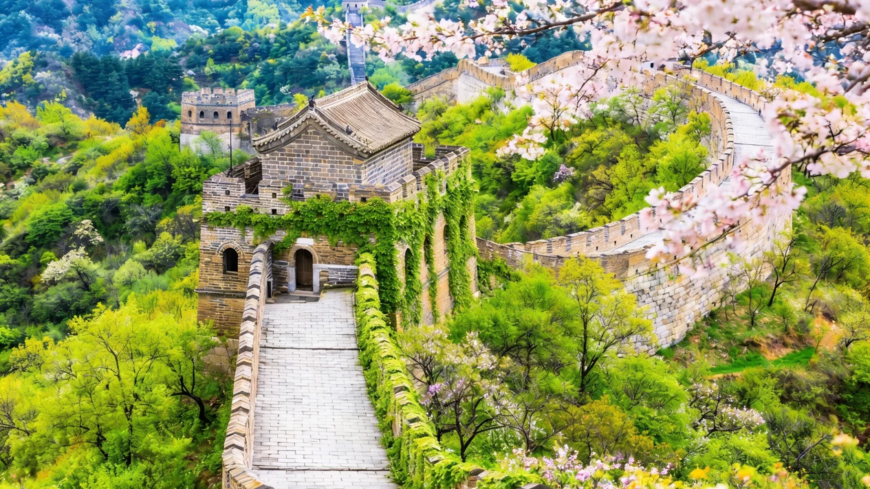 Beijing Badaling Great Wall + Summer Palace + Bird's Nest One-Day Tour