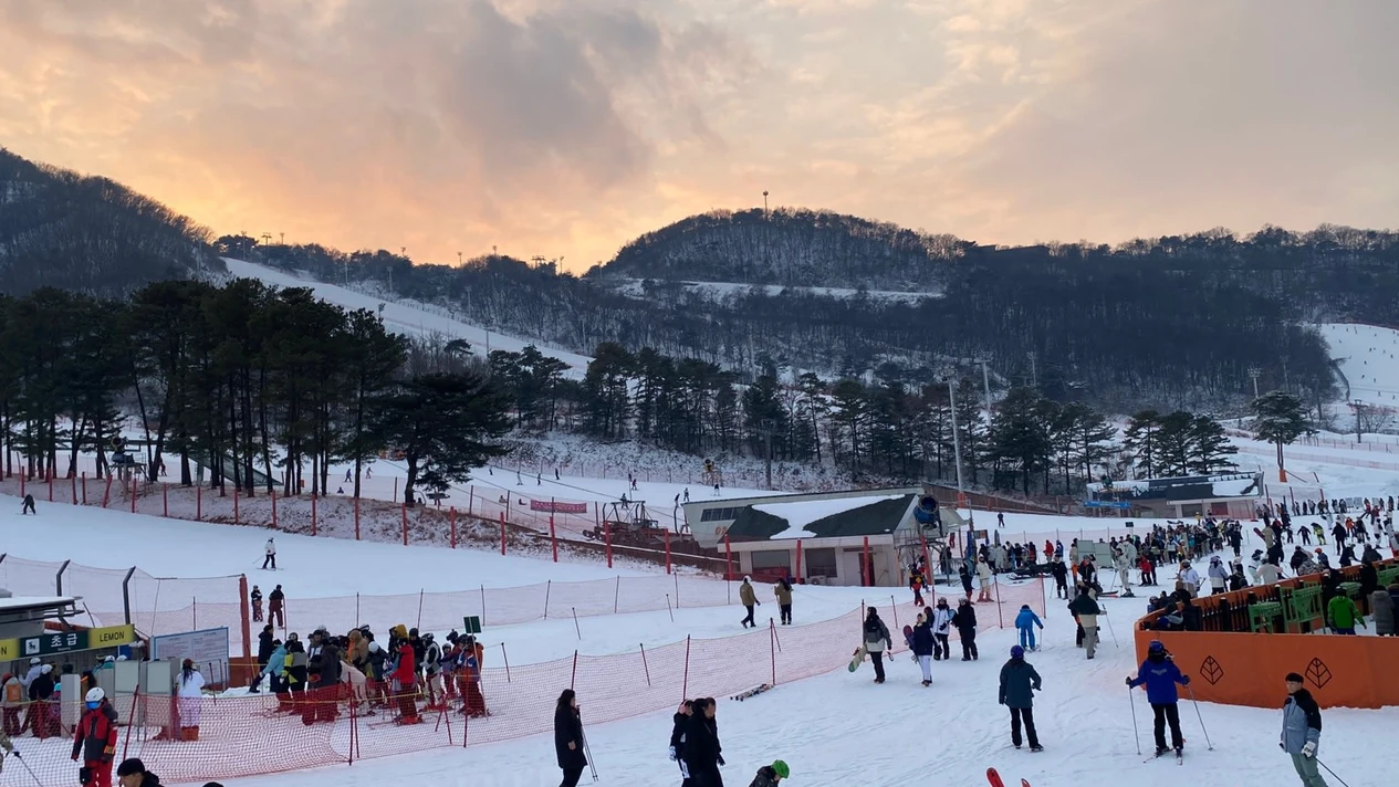芝山森林滑雪場 & 雪橇一日遊（首爾出發）