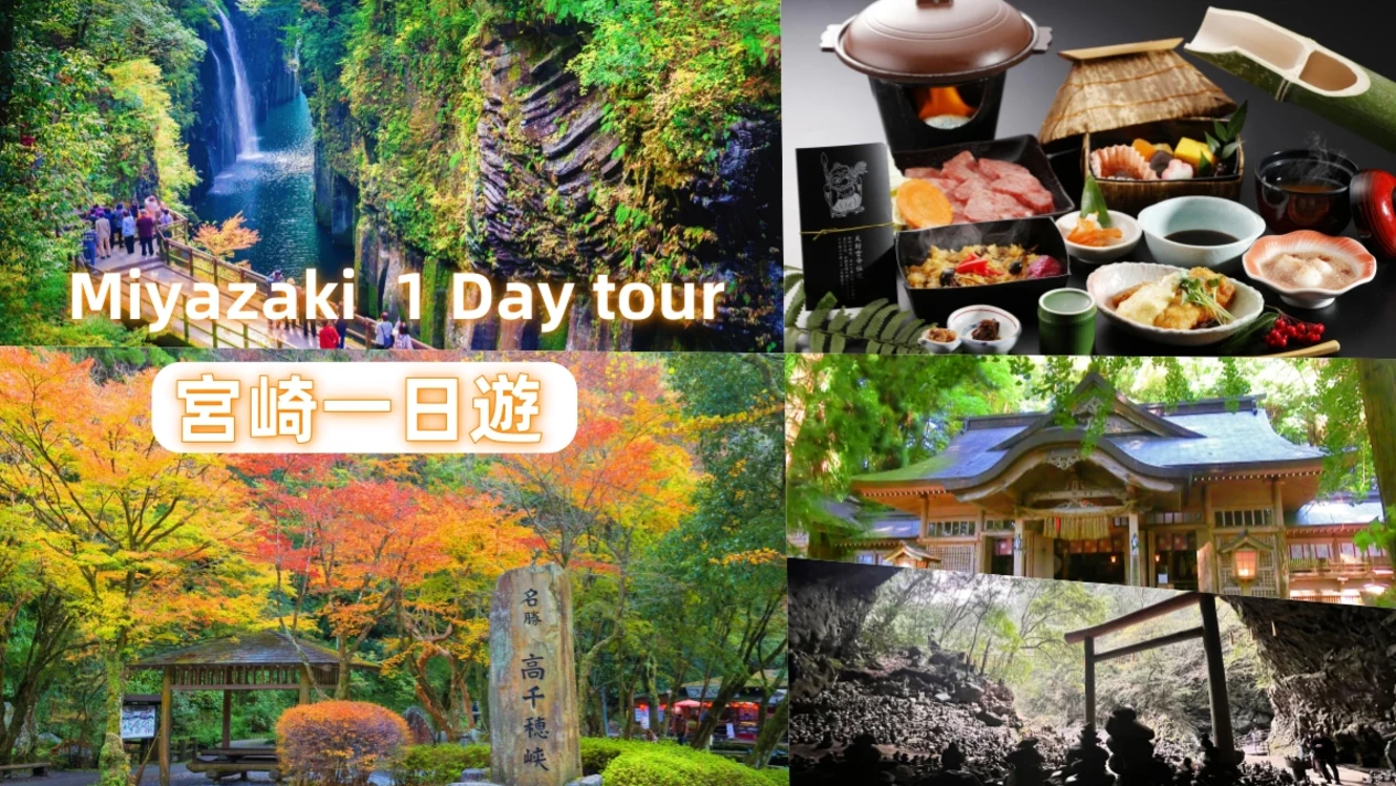 Miyazaki One-Day Tour (Including Japanese Beef Lunch) - Departing from Fukuoka