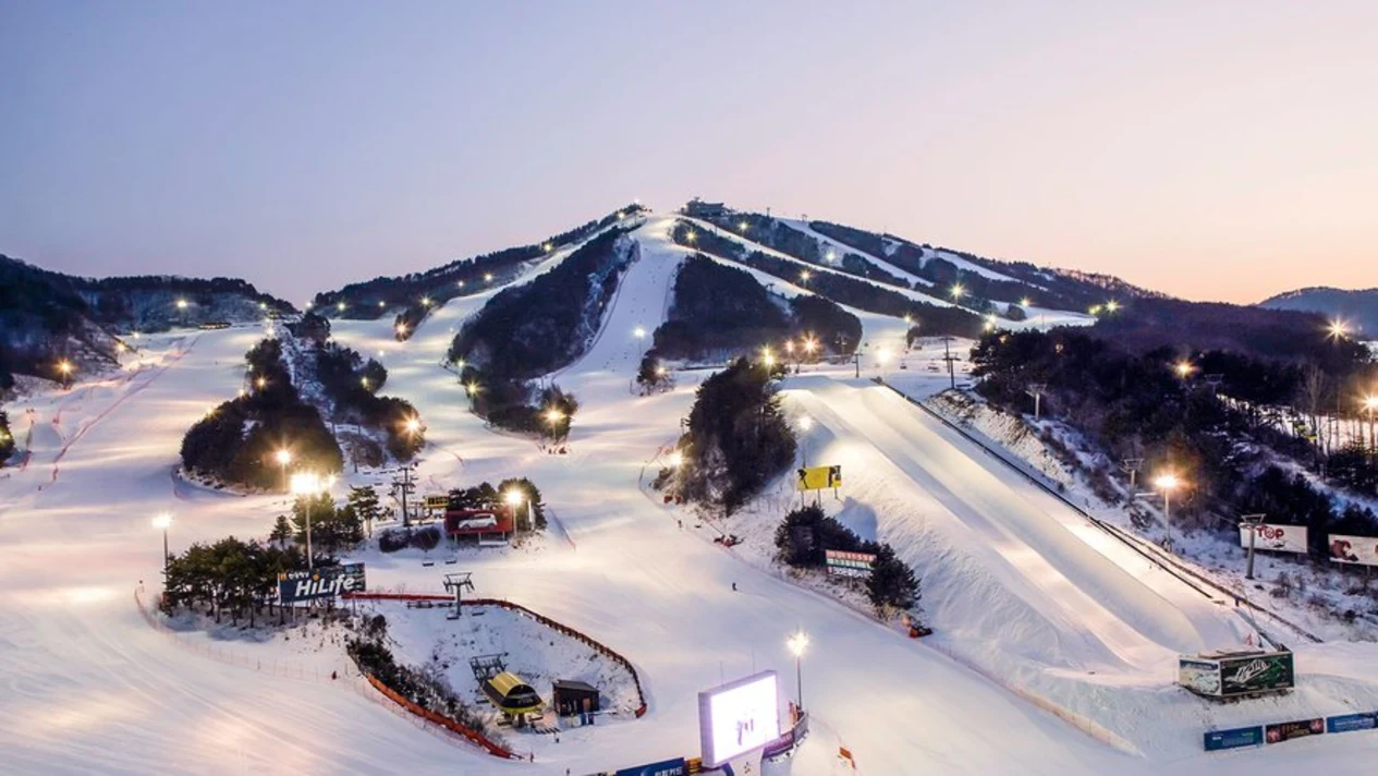 從首爾出發的Welli Hilli滑雪度假村私人滑雪之旅