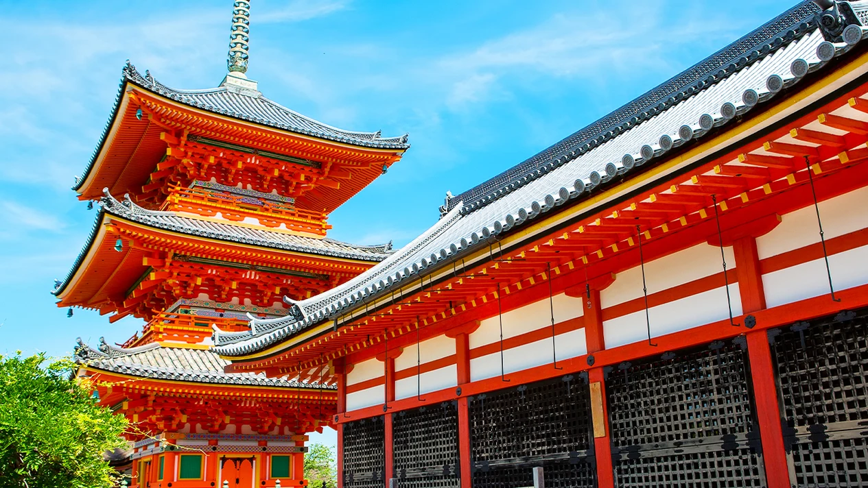 Kyoto｜Old Town Check-in & Rabbit Shrine & Matcha Experience One-day Tour (You can also purchase Kiyomizu Temple Kimono Experience)｜Departure from Osaka/Kyoto