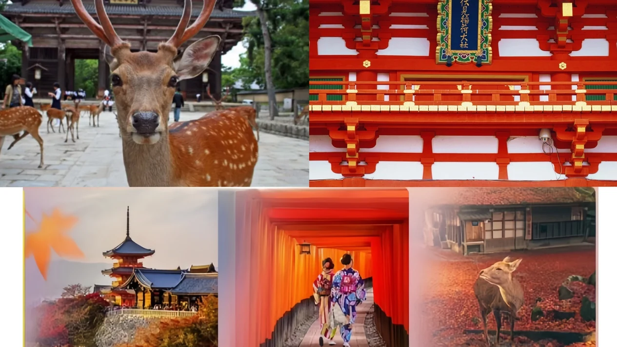 清水寺&伏見稻荷大社&奈良公園一日遊（精品小團  大阪・京都出發）