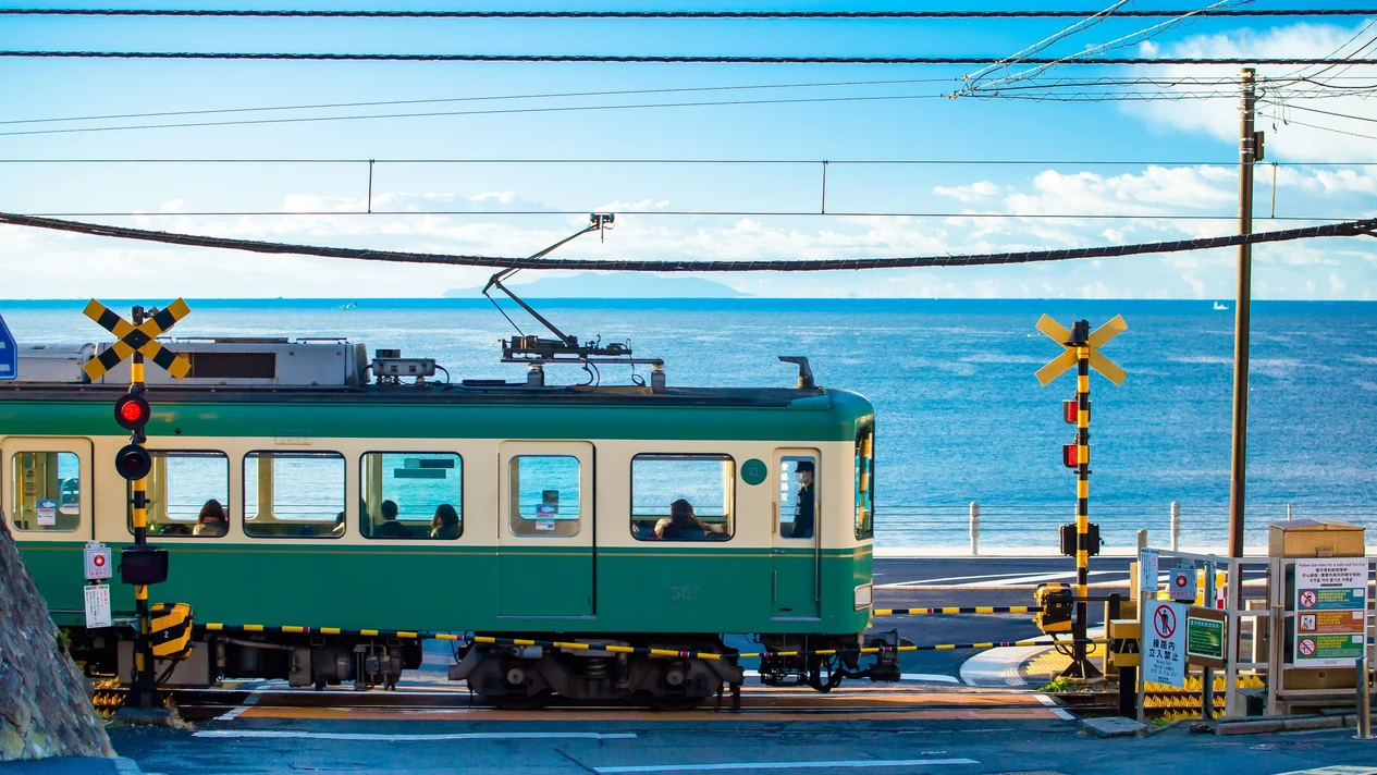 Kamakura & Hakone One-day Tour Customized Charter | Departing from Tokyo