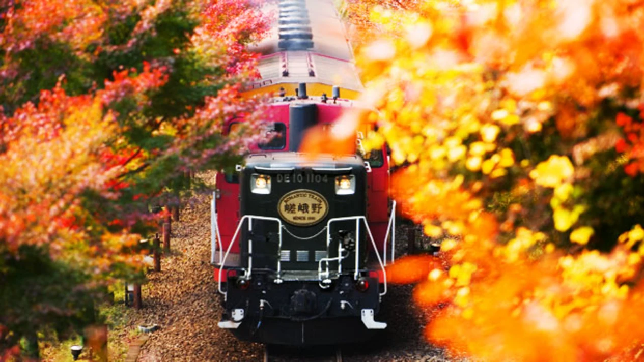 Sanzen-in & Arashiyama One-Day Tour (Departing from Osaka/Kyoto)