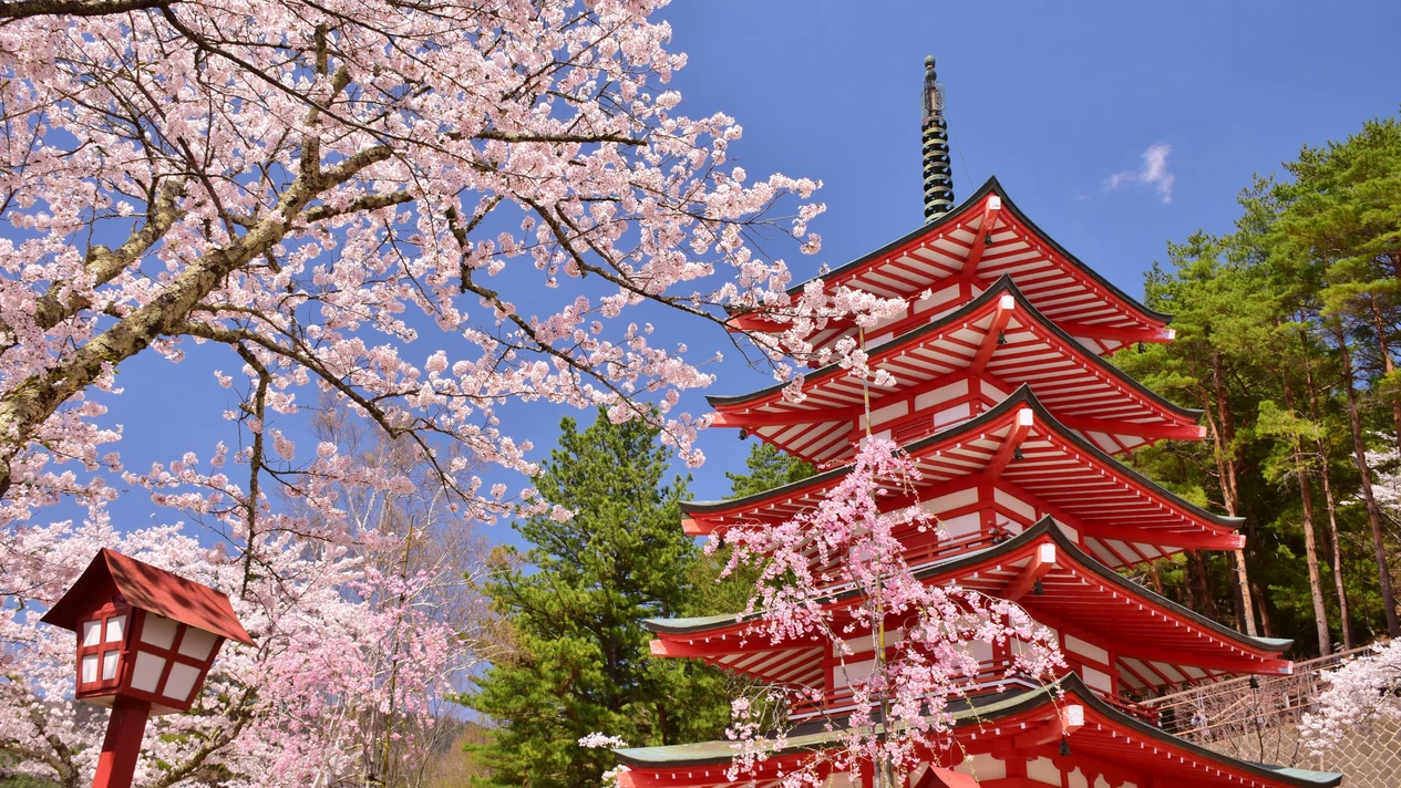 [Mt. Fuji Internet celebrity check-in to receive Fuji Mt. Spring Grass Cake] Mt. Fuji 5th station & Oshino Hakkai & Outlet or hot spring (choose one) classic one-day tour (departing from Tokyo)