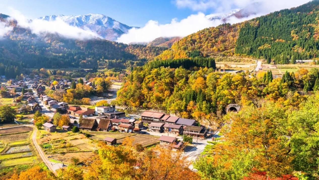 Nagoya, Japan｜Hida Takayama/Shirakawago Customized Chartered One-Day Tour