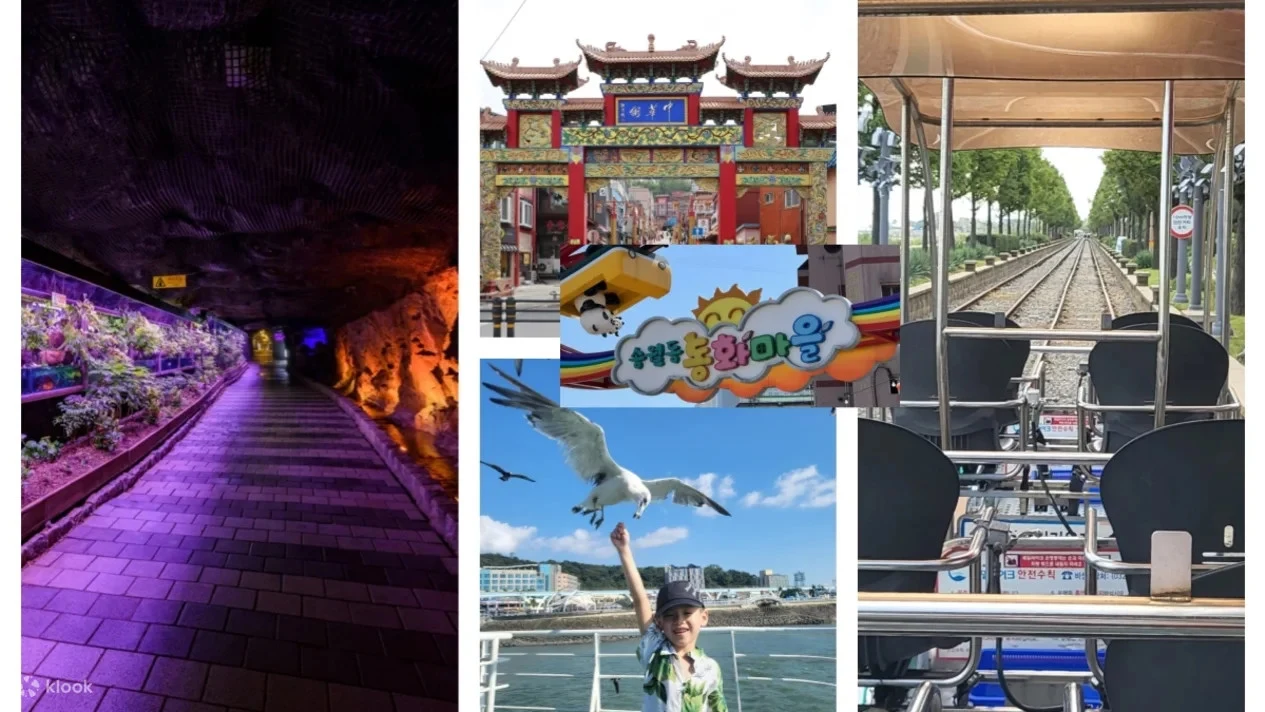 Gwangmyeongdong & Rail Bike & Seagull Feeding (Departing from Seoul)