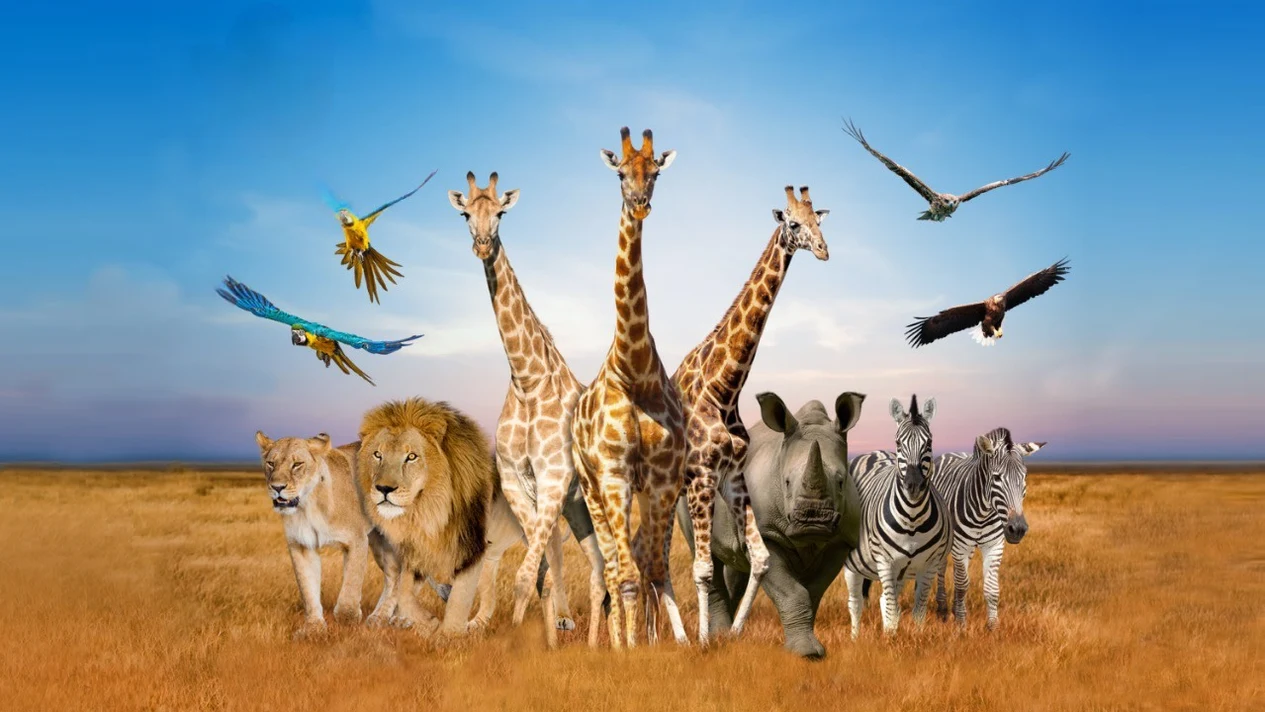 曼谷野生動物園Safari World門票