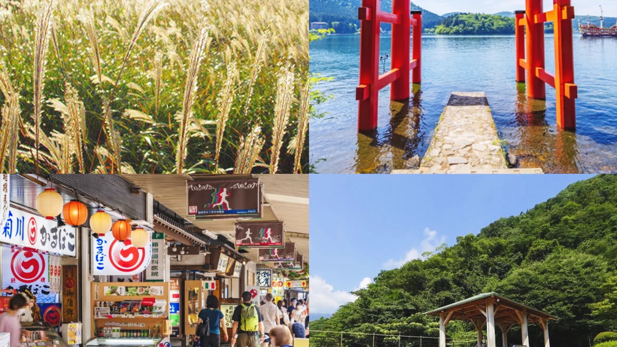 [Hakone In-depth Tour] Hakone Shrine Sengokuhara Hakone Yumoto Hot Spring One-day Tour (Departing from Tokyo)