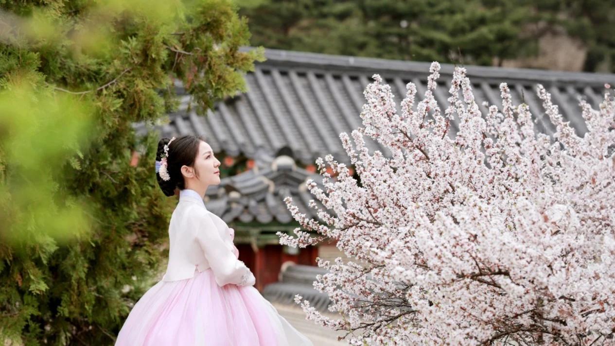Changdeokgung Palace Hanbok Experience (Miso Hanbok)