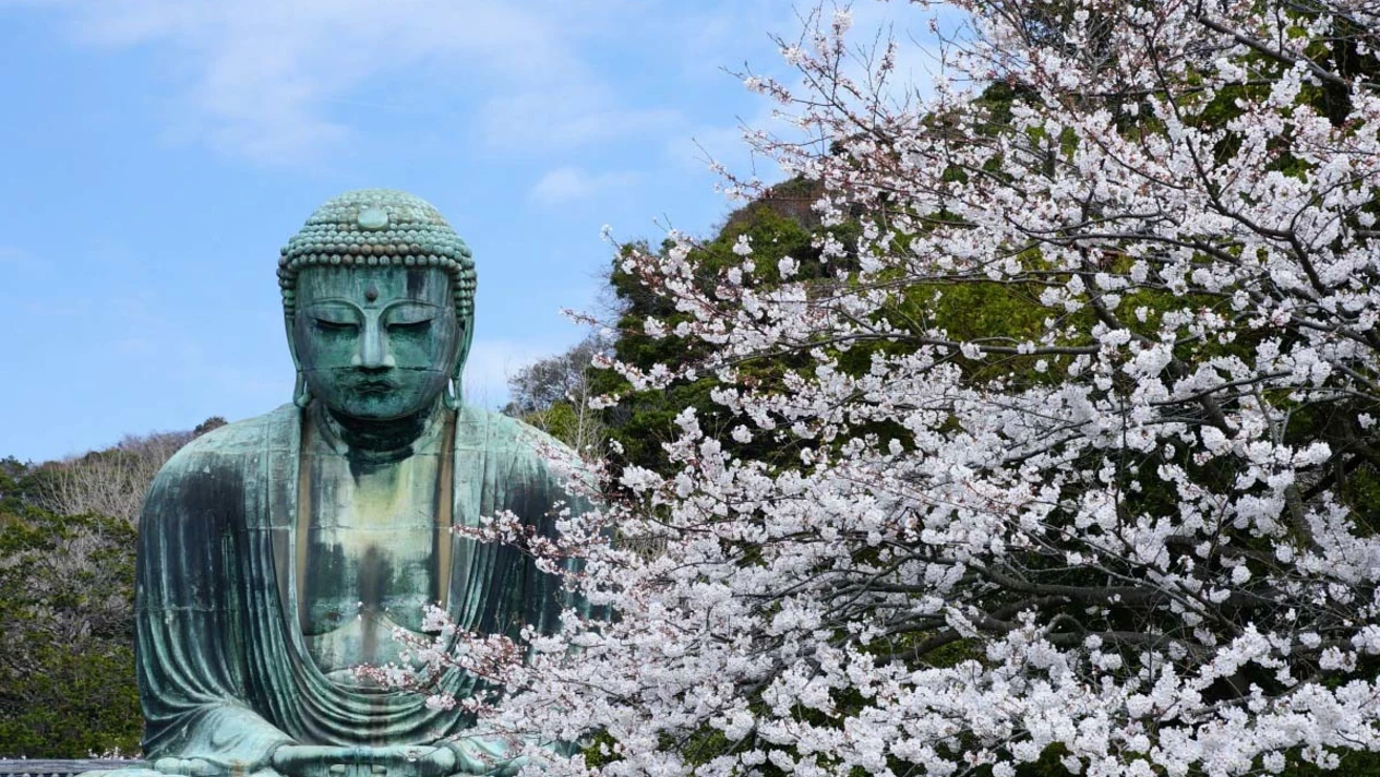 經典鎌倉一日遊｜鶴崗八幡宮+鎌倉大佛+長谷觀音寺+江之島（含日式料理午餐） 東京出發