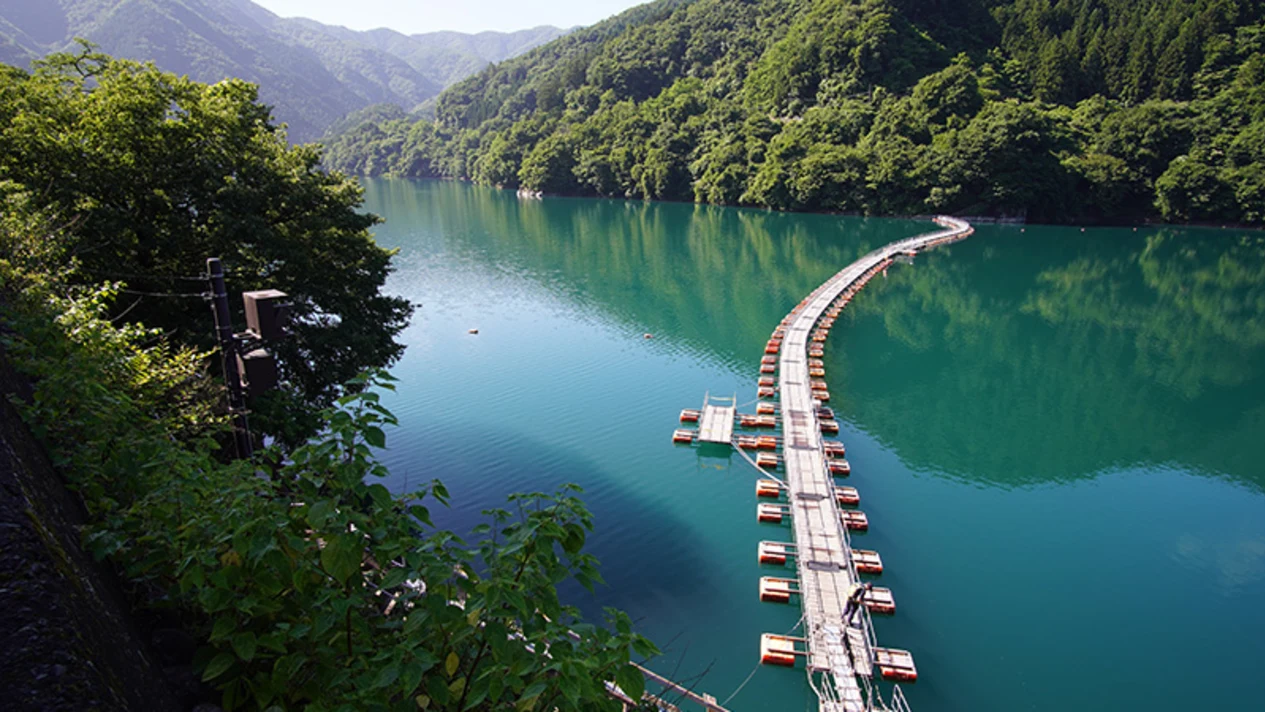 Muzan Floating Bridge & Okutama Water and Green Exchange Center & Hatonoshu Gorge One Day Tour (Departing from Tokyo)