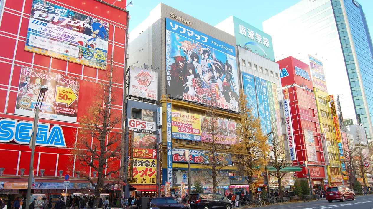 Tokyo customized anime and cultural attractions chartered one-day tour