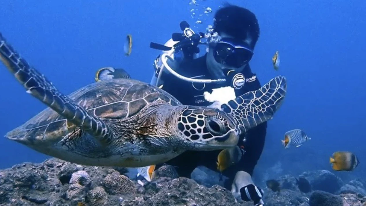 Pingtung: 369 Snorkeling Shop-Xiaoliuqiu Snorkeling & SUP Experience・Free e-file photos