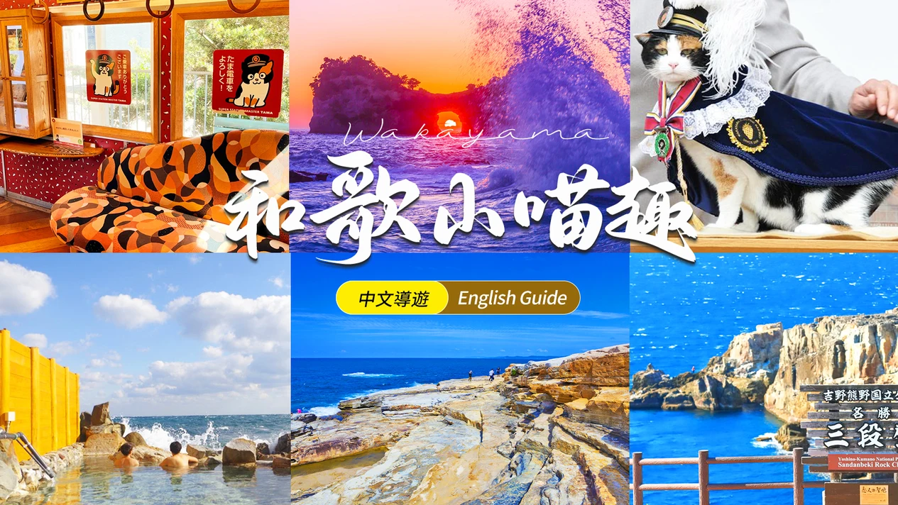 Wakayama Castle, Kisii Temple, Kuroshio Market, Kishi Station Cat Stationmaster, Shirahama Entsukishima, Senjojiki, Sandanbeki, Shirarahama, Toretore Market, and Saki-no-Yu 2-Day Tour | Depart from Osaka