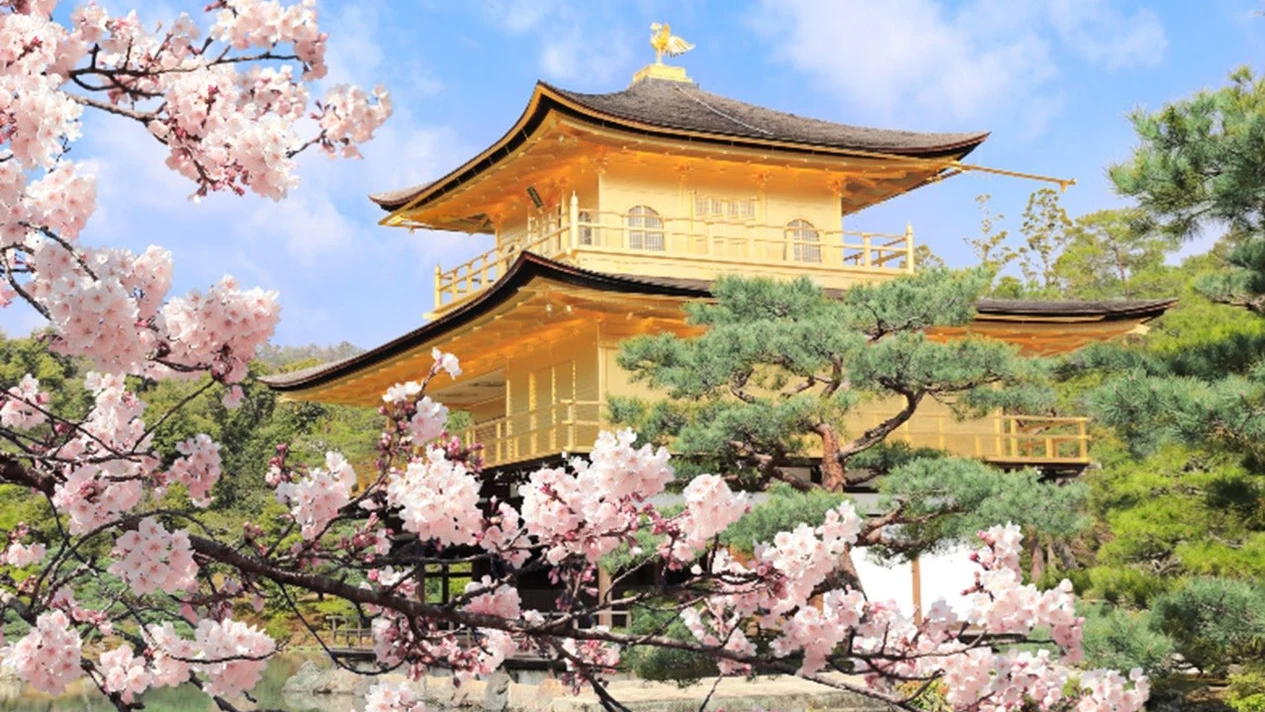 One-day trip to Kyoto & Nara (departing from Osaka/Kyoto)