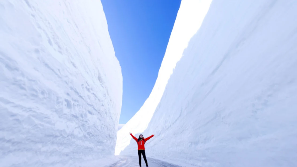 Tateyama Kurobe Snow Valley, Takayama, and Shirakawa-go 2-Day 1-Night Bus Tour