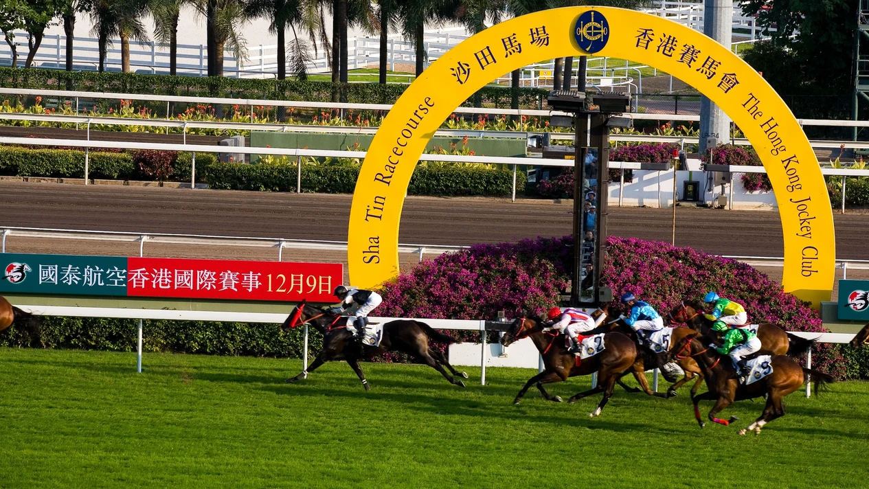 香港賽馬會沙田馬場接送（廣東出發）