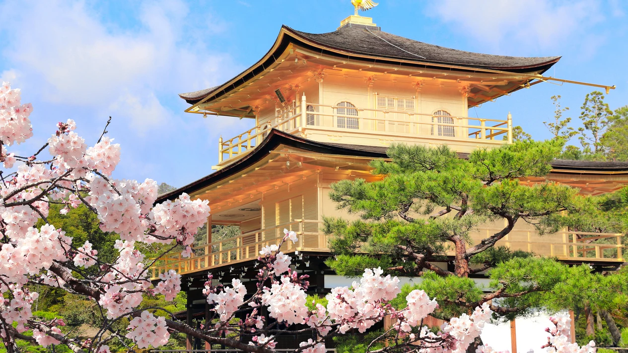 遊覽古都京都｜金閣寺、嵐山、伏見區及美山茅草屋村落一日遊(大阪/京都出發)