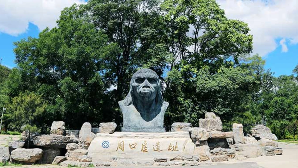 周口店北京人遺址 門票(博物館/遺址區)