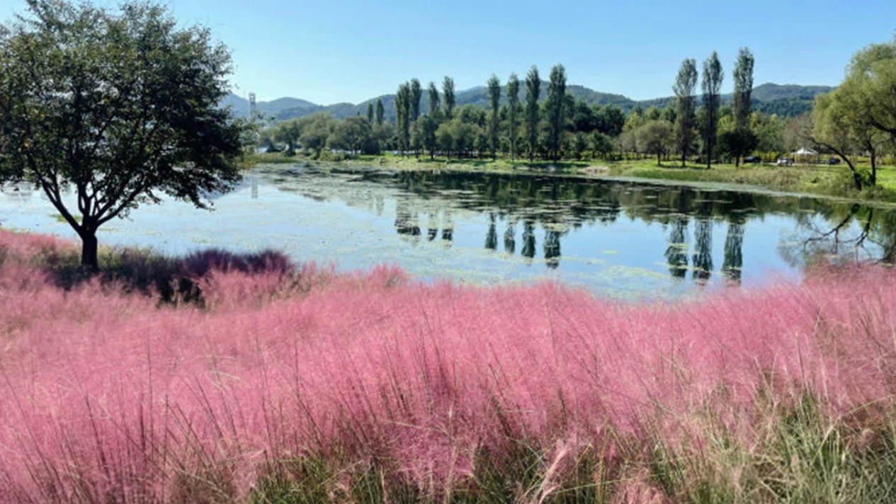 加平自拉島花卉慶典 - 貝果尼亞鳥花園一日遊