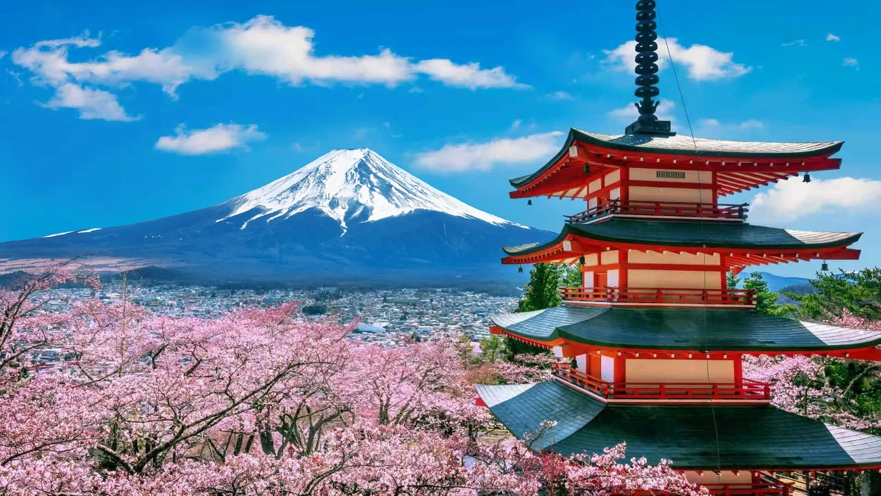 [Limited time special offer] One-day trip to Mount Fuji's Internet celebrity beauty | Departing from Tokyo