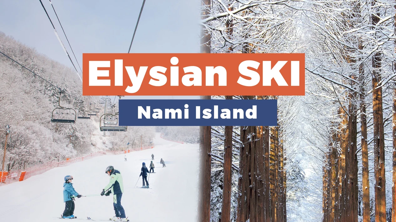 Elysian Gangchon Ski Resort & Nami Island One-Day Tour (Departing from Seoul)