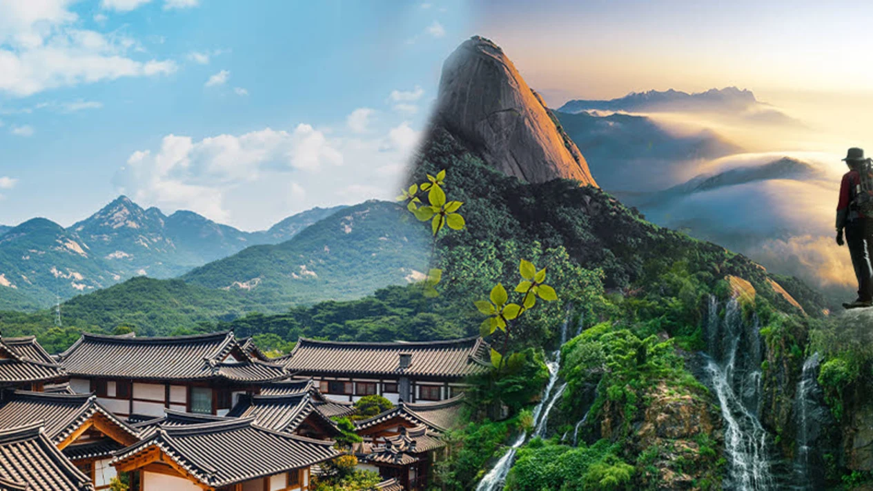 Bukhansan Mountain One-Day Tour (Departing from Seoul)