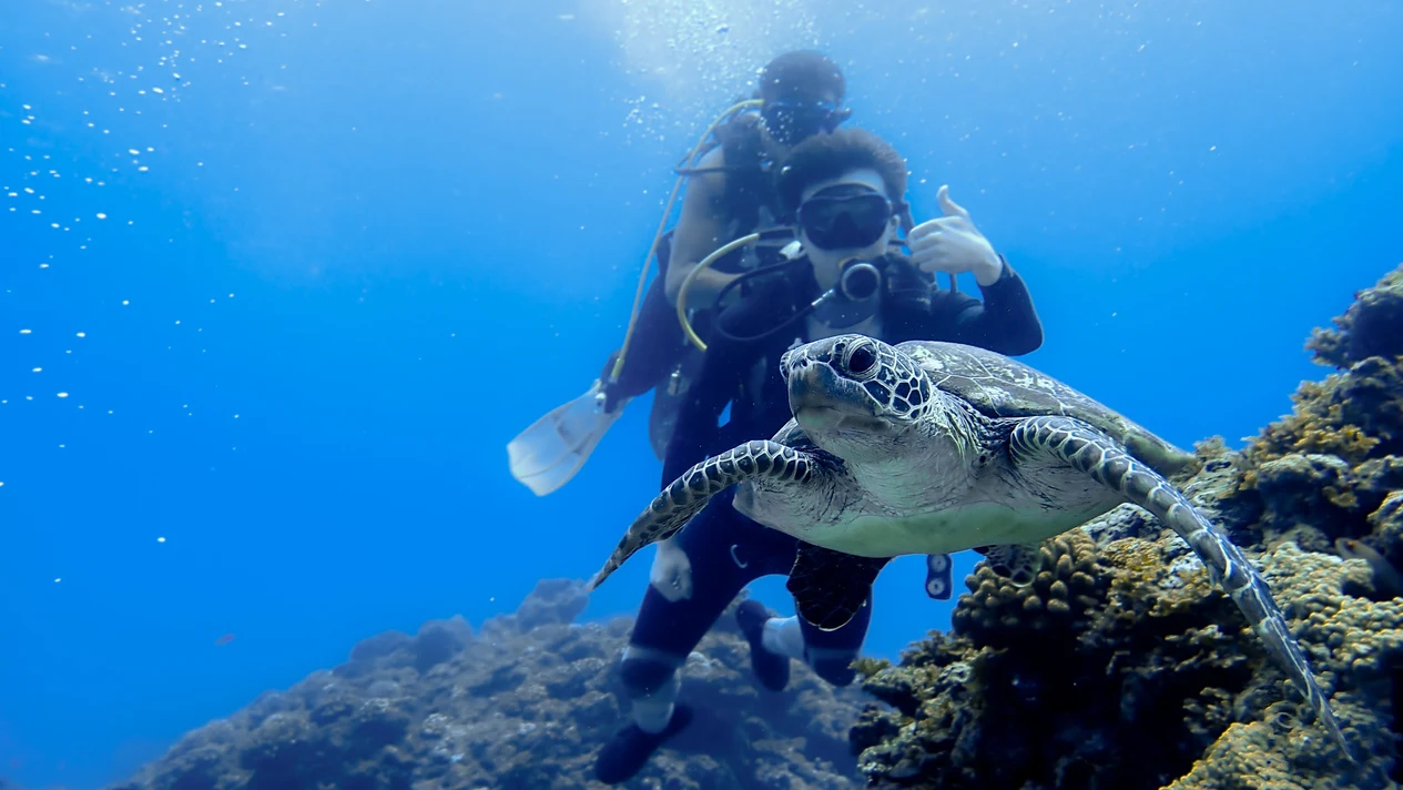 Orchid Island Diving｜Taitung｜Orchid Island Blue Sea House Diving Resort｜Experience Diving・PADI・SSI Diving Certification Course