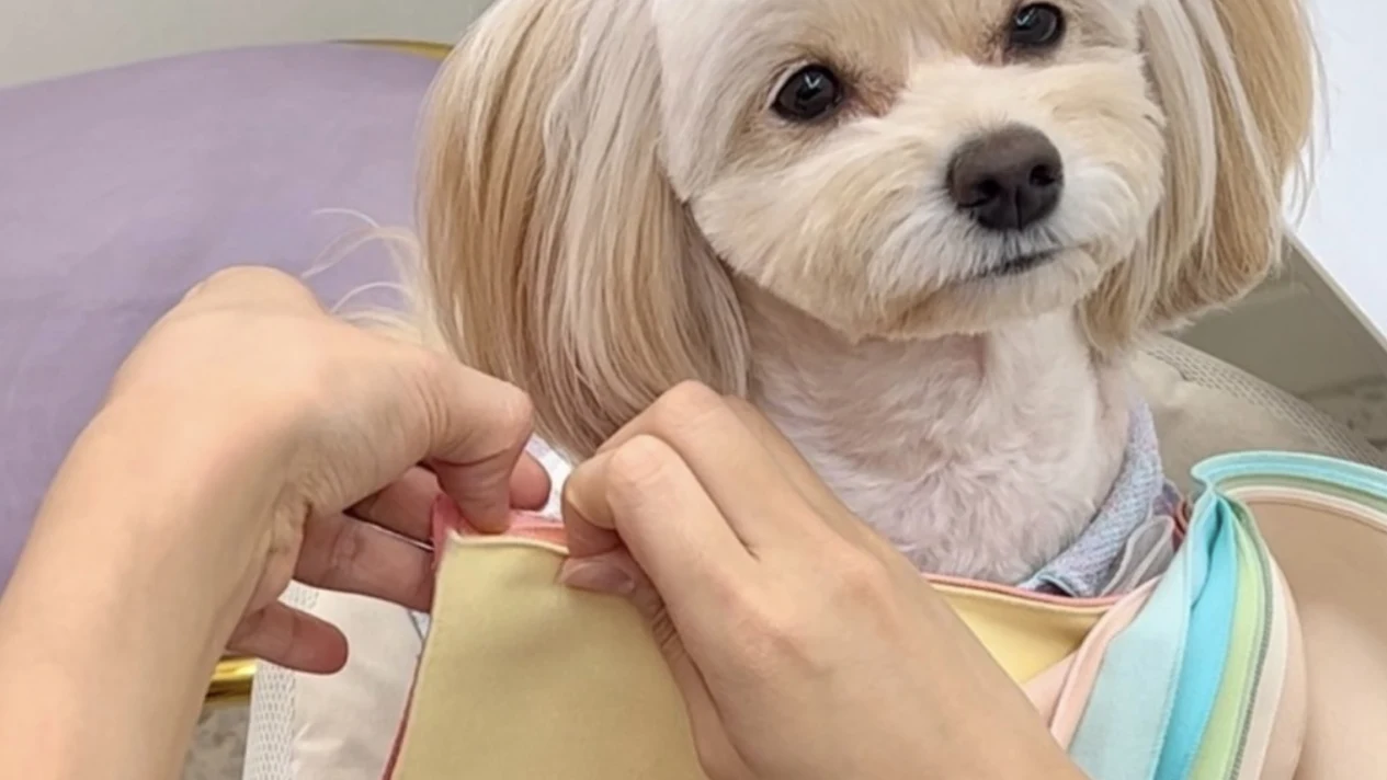 Personal color consultation in Hongdae, Seoul