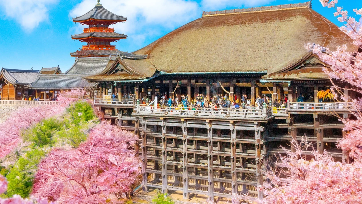 【京都&宇治一日遊】金閣寺&清水寺&平等院&宇治川&抹茶美食街&兔子神社&紫式部像（大阪或京都出發）