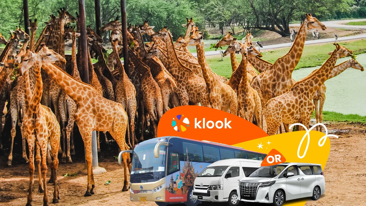 曼谷賽佛瑞野生動物園共乘／包車接送