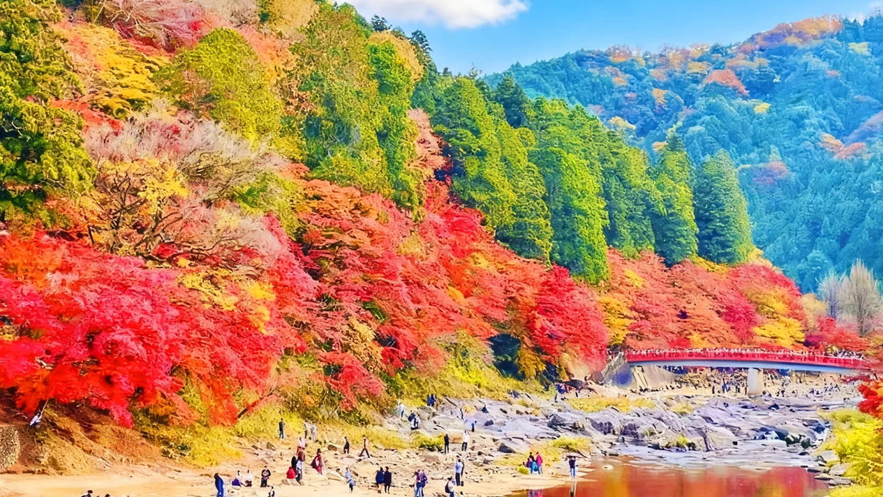 Gifu: One-day tour of Mount Eihoji Temple & Korankei "Cherry Blossoms and Maple Leaves" (includes lighting event) (departs from Nagoya)