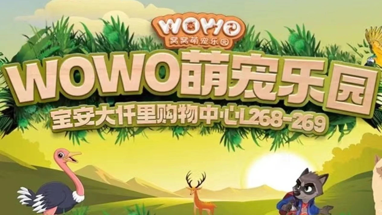 深圳WOWO窩窩萌寵樂園 (寶安大仟裏店) 能摸、能抱、能喂