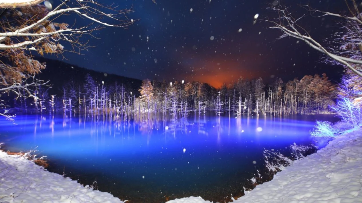 Hokkaido Asahiyama Zoo & Platinum Blue Pond Day Trip
