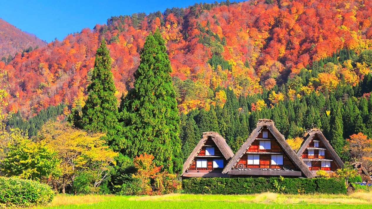 Gifu: Hida Takayama & Shirakawago Gassho Village One-Day Tour Premium Small Group (Departs from Nagoya, optional hotel pick-up)