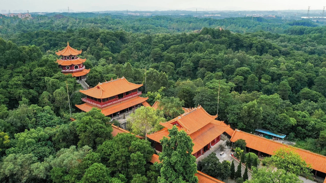 海上絲綢2天團（三水森林-大卧佛-海鮮自助晚餐）