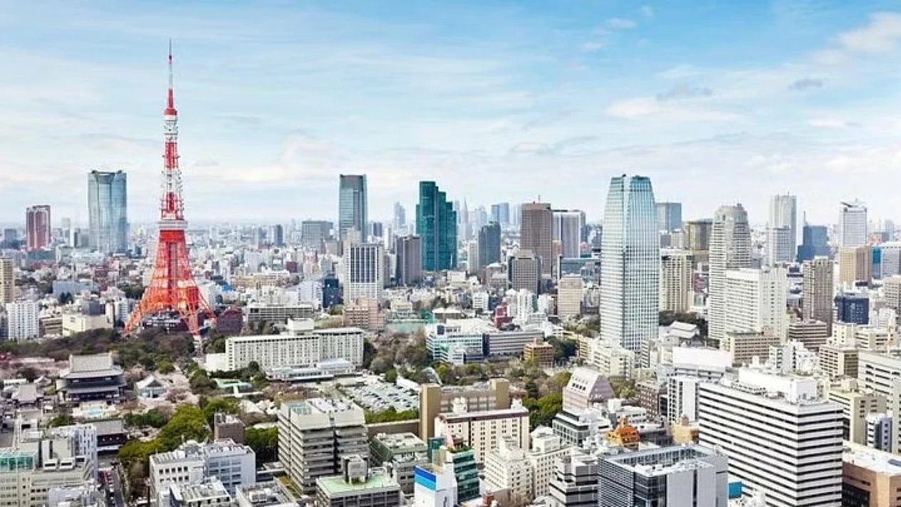 4-hour private tour of Tokyo (with government-licensed tour guide)