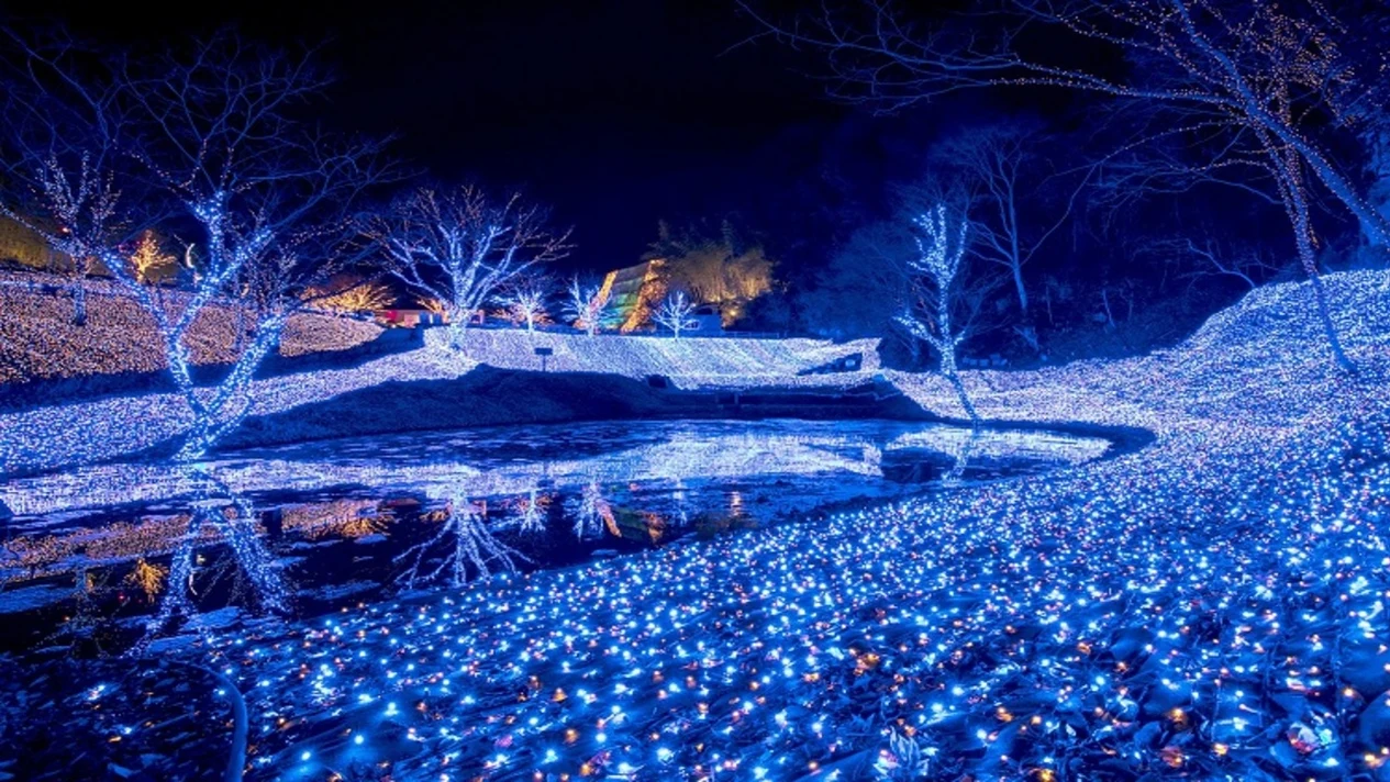 2023 Kobe Garden Light Show (Depart from Osaka)