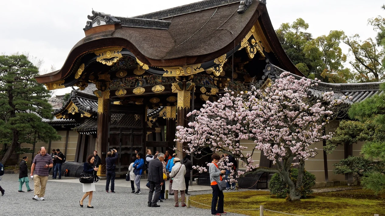 京都御所＆二條城小團步行導覽之旅