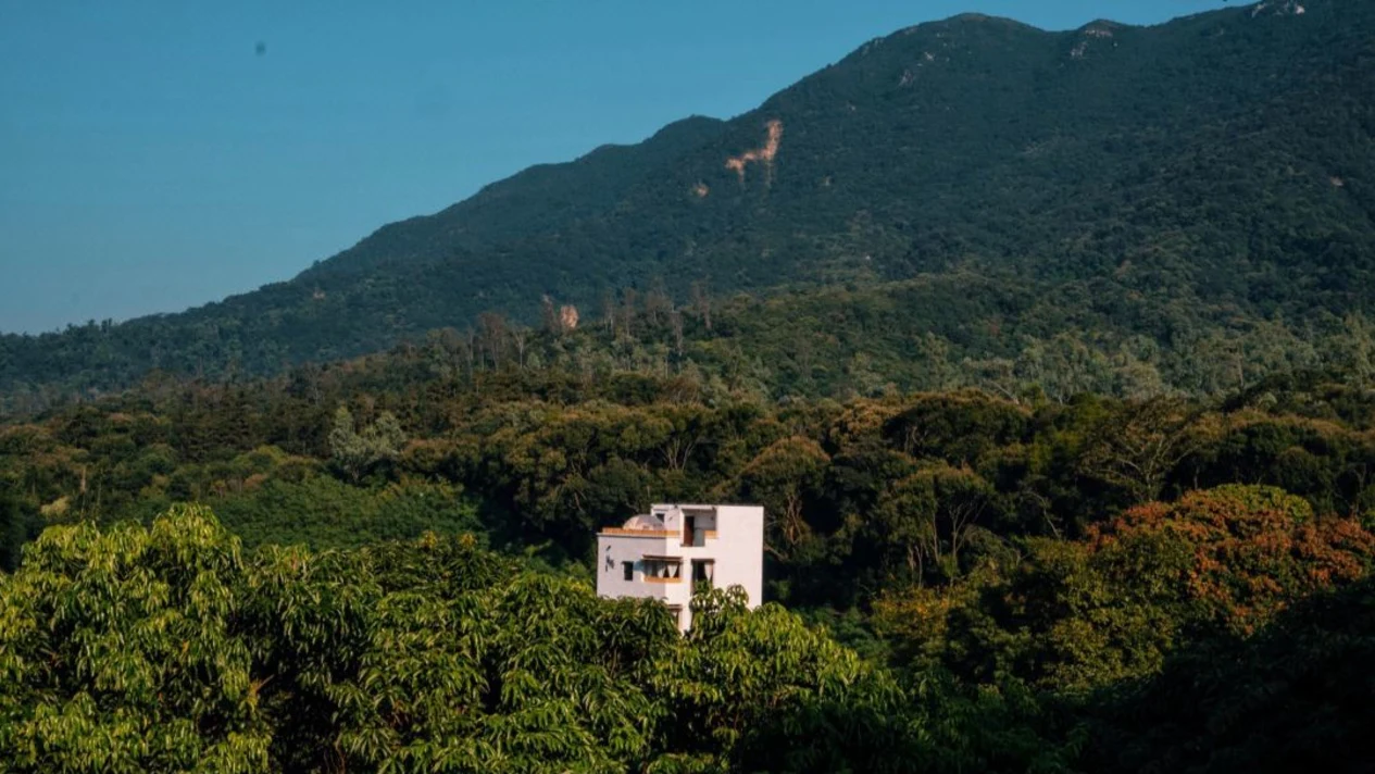 【設計型民宿】深圳清溪鄉舍民宿住宿套餐 | 浪漫星空 | 打卡出片推薦