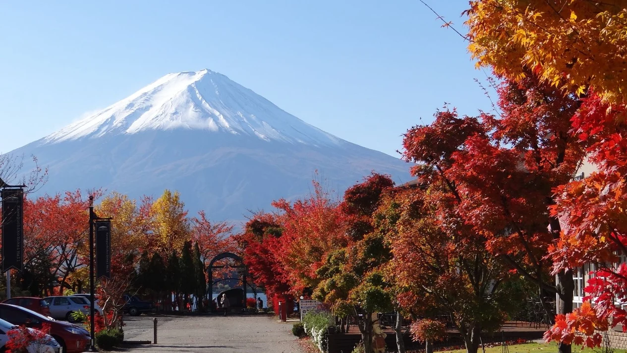 富士山秋季賞楓: 河口湖楓葉迴廊 & 昇仙峽 & 新倉山公園一日遊 (新宿出發)