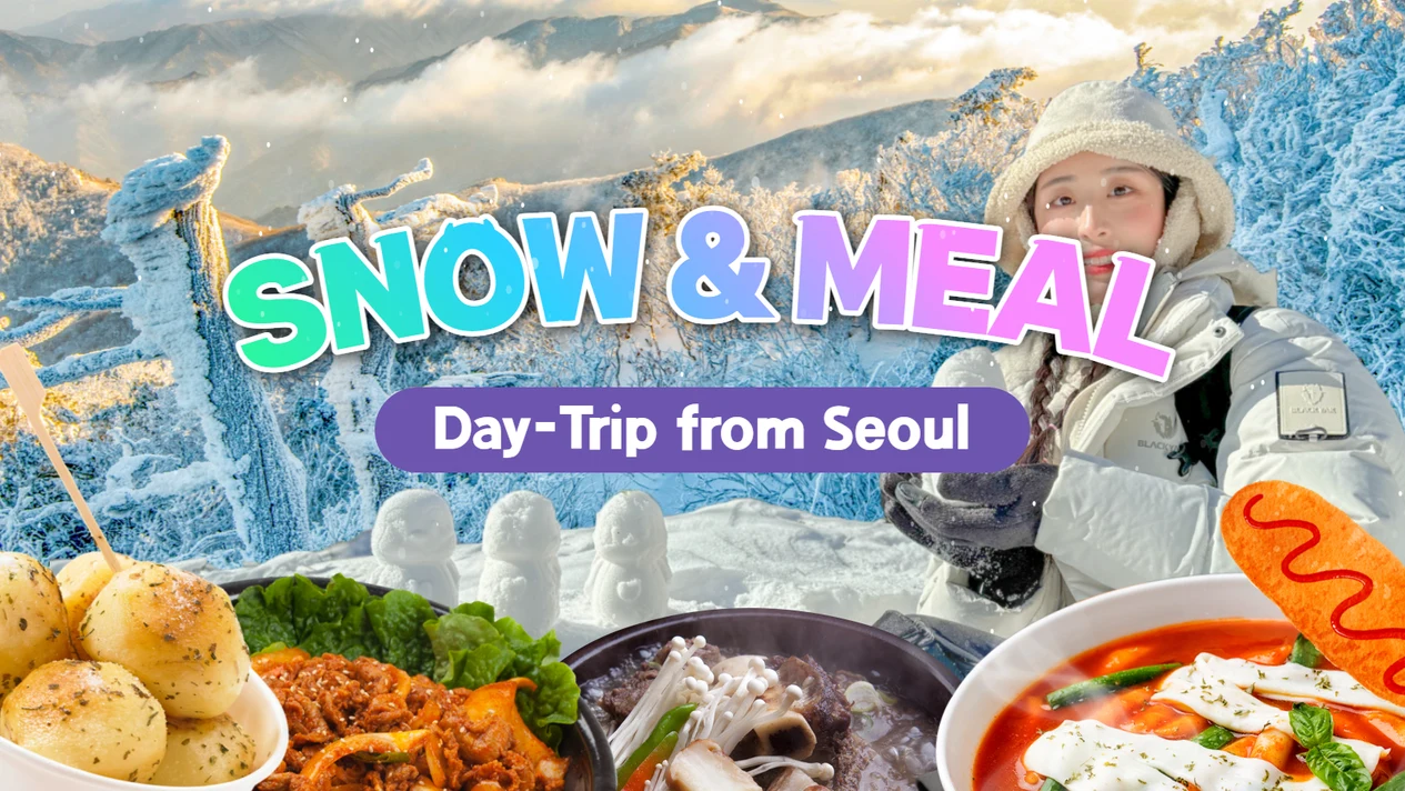 從首爾出發的雪和美食一日遊 - 雪花盛開旅遊套餐