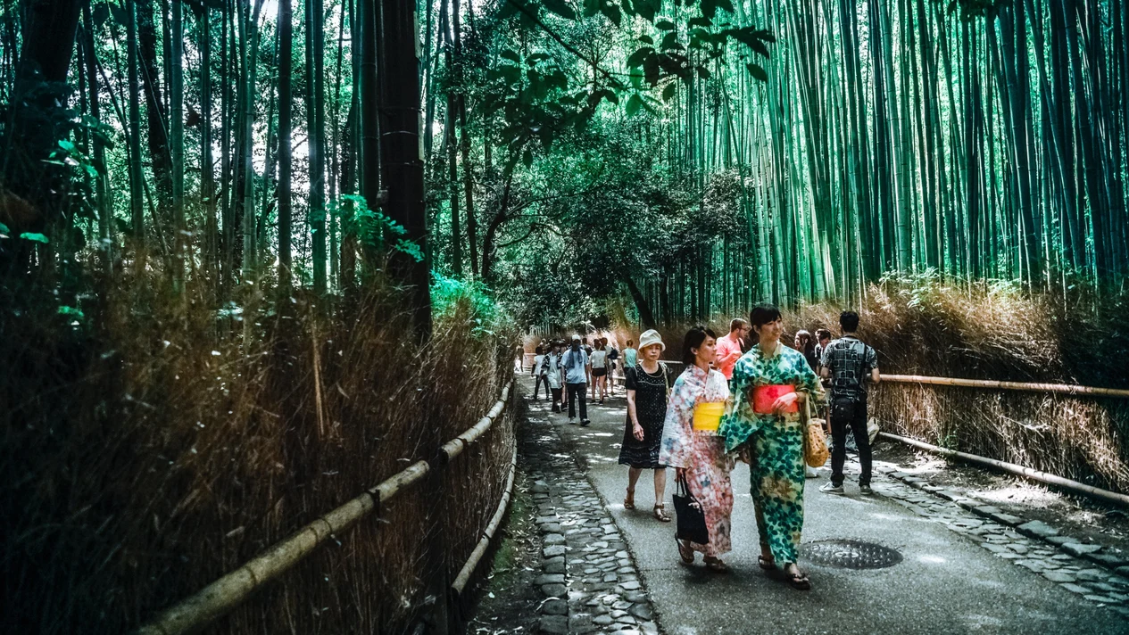 京都嵐山半日私人導覽