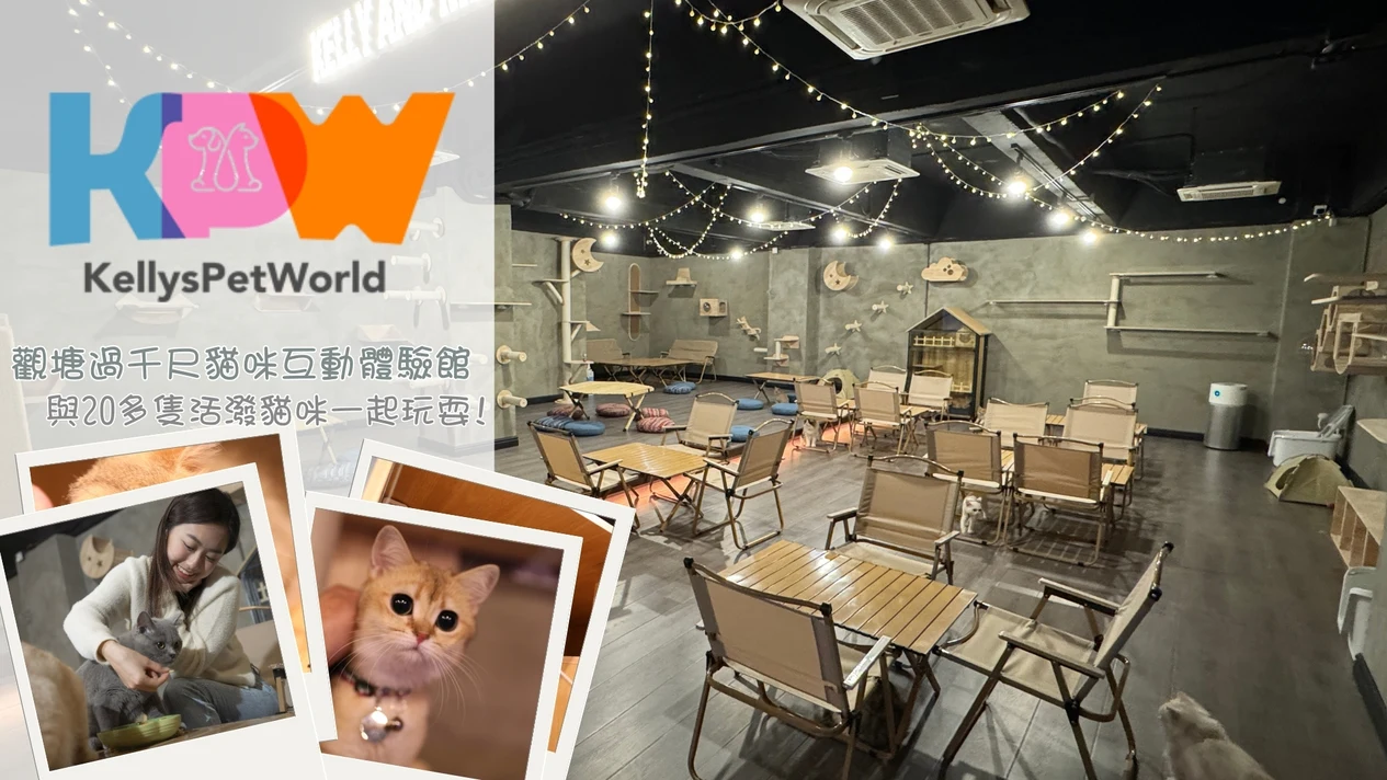 Kelly And Meows - 貓貓Cafe｜觀塘